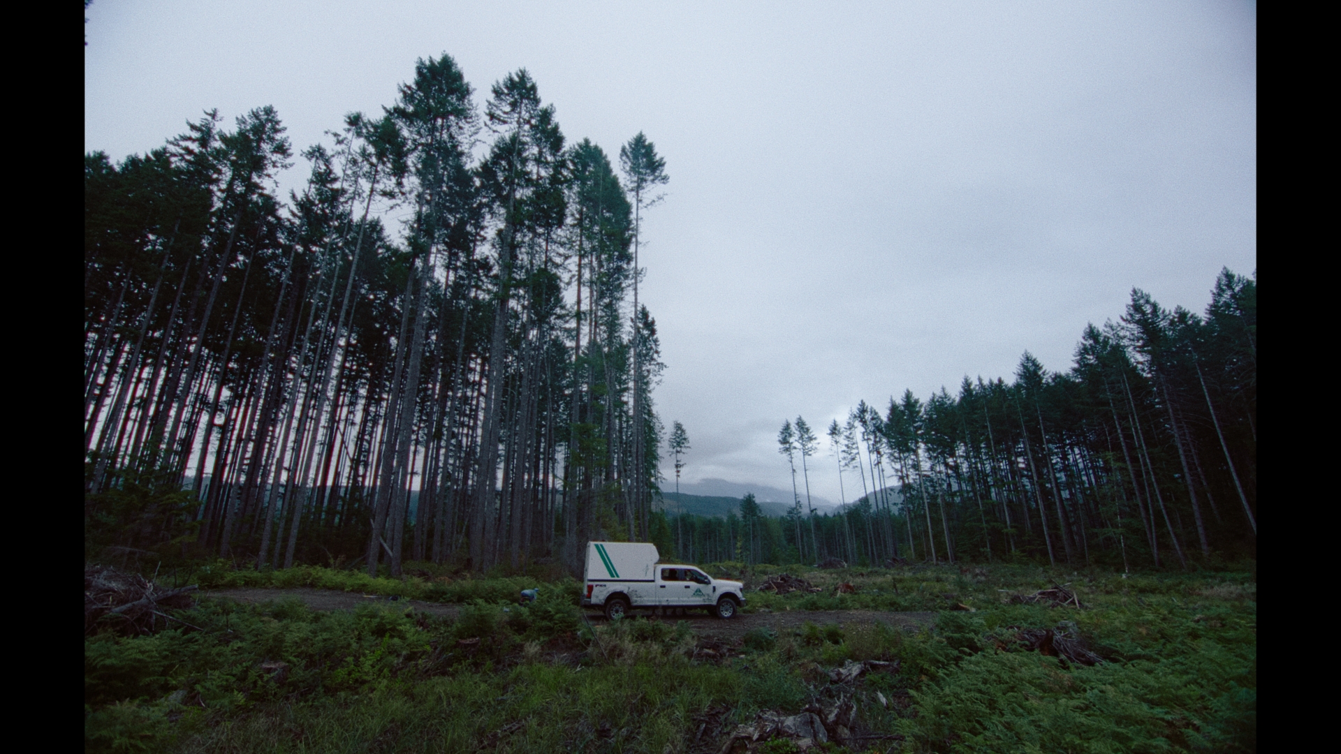 DT-STILLS_1.1.14.T