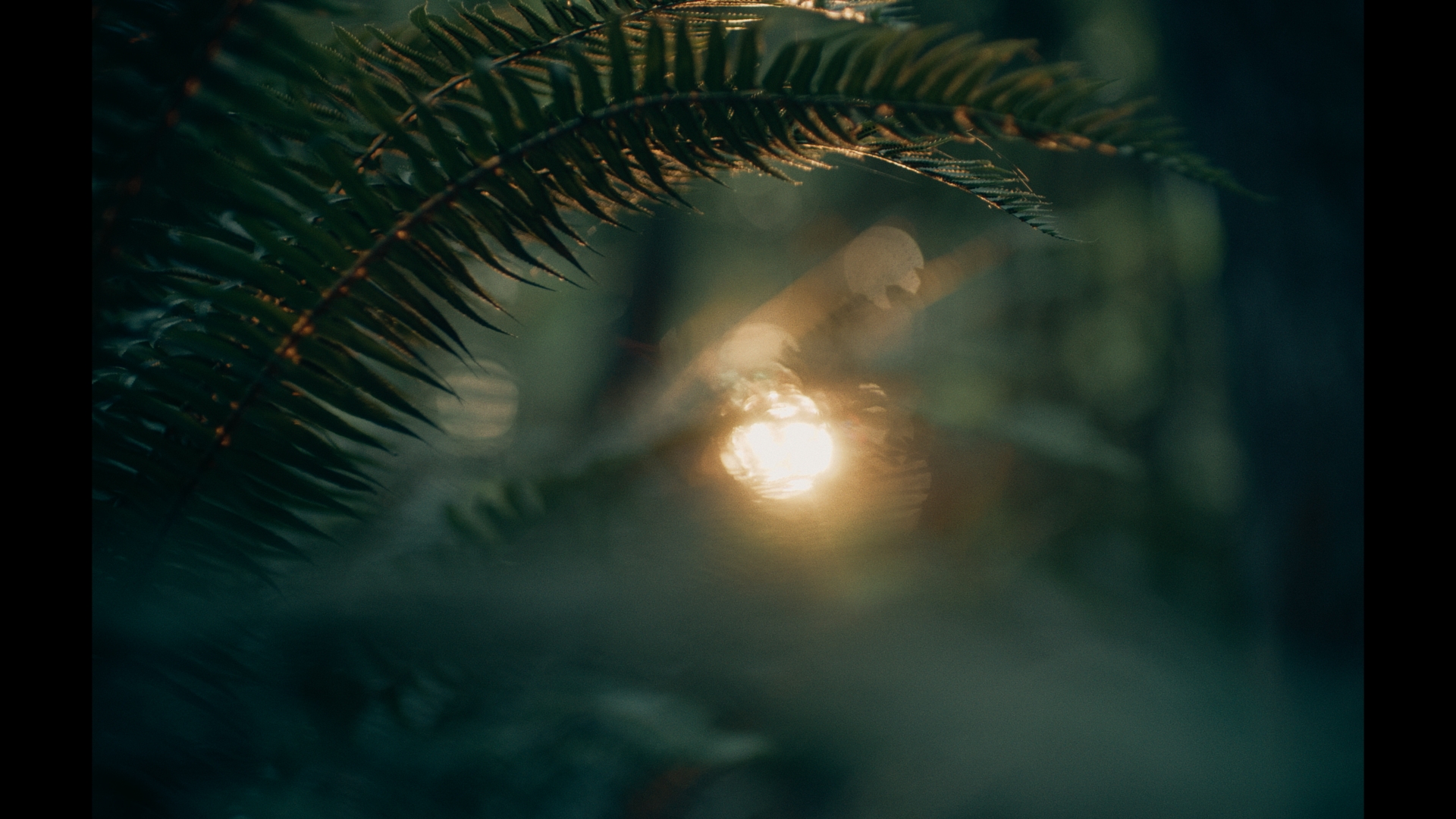 DT-STILLS_1.1.3.T
