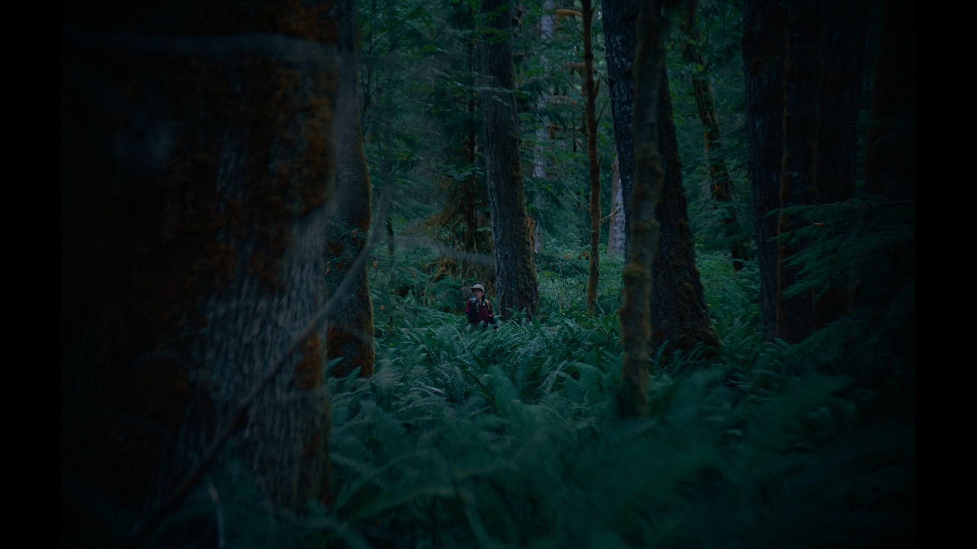 DT-STILLS_1.1.9.T