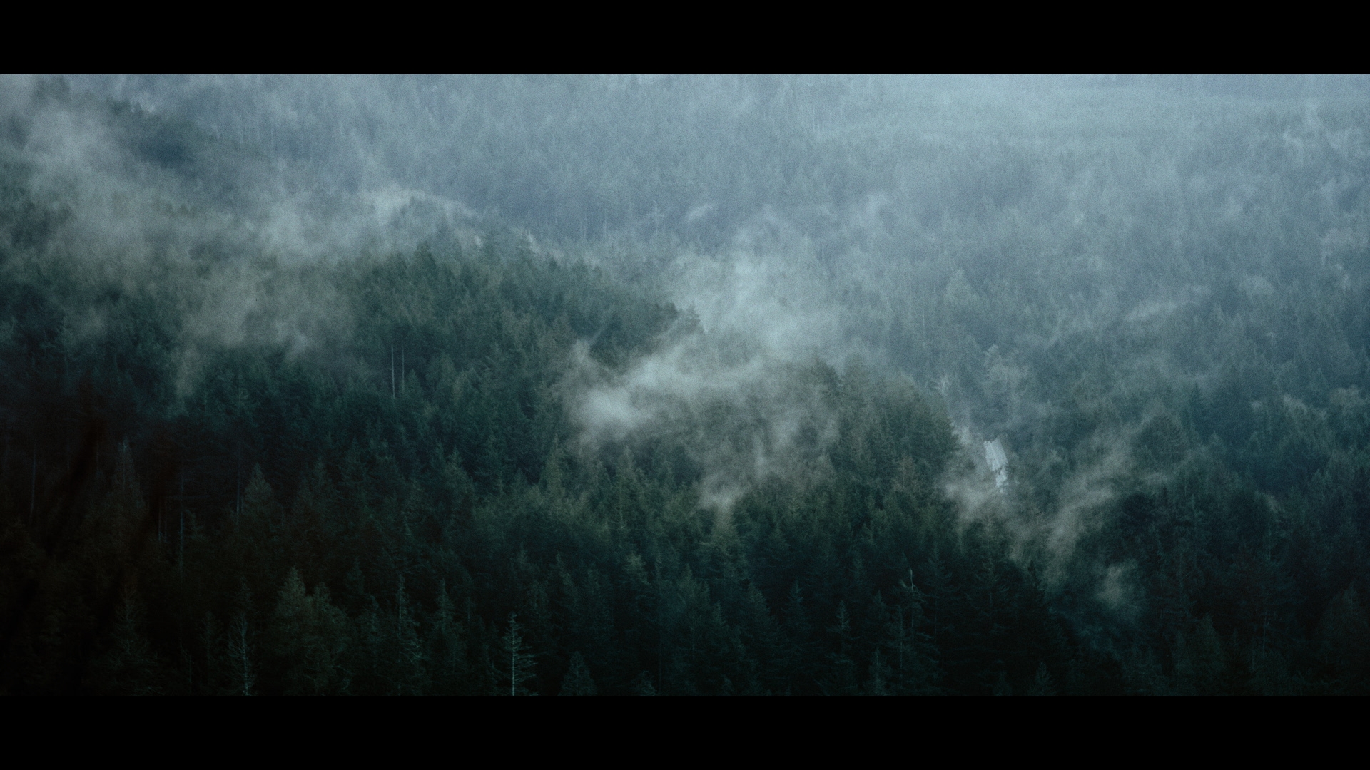 ITS-STILLS_1.1.1.T