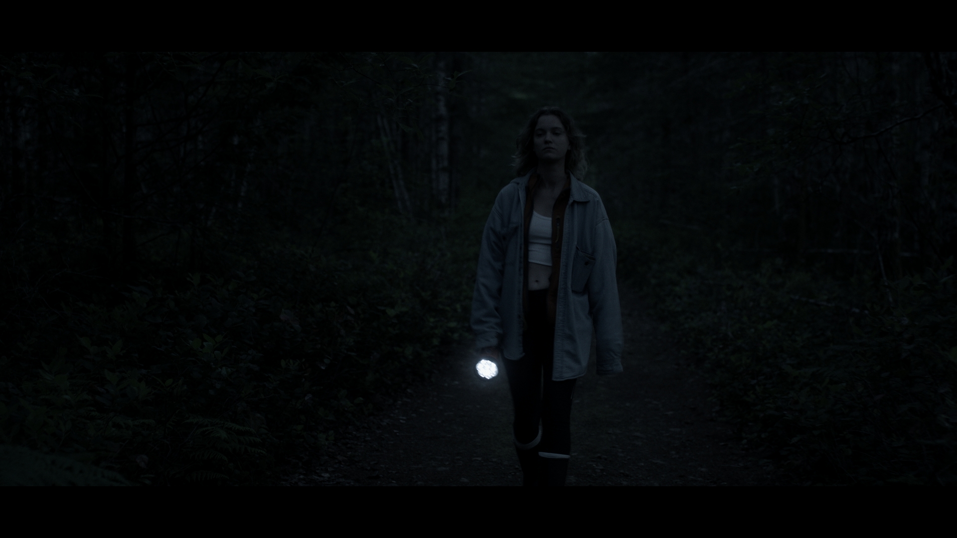 ITS-STILLS_1.1.11.T